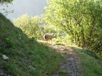 Youri - Ecrins 2005 021